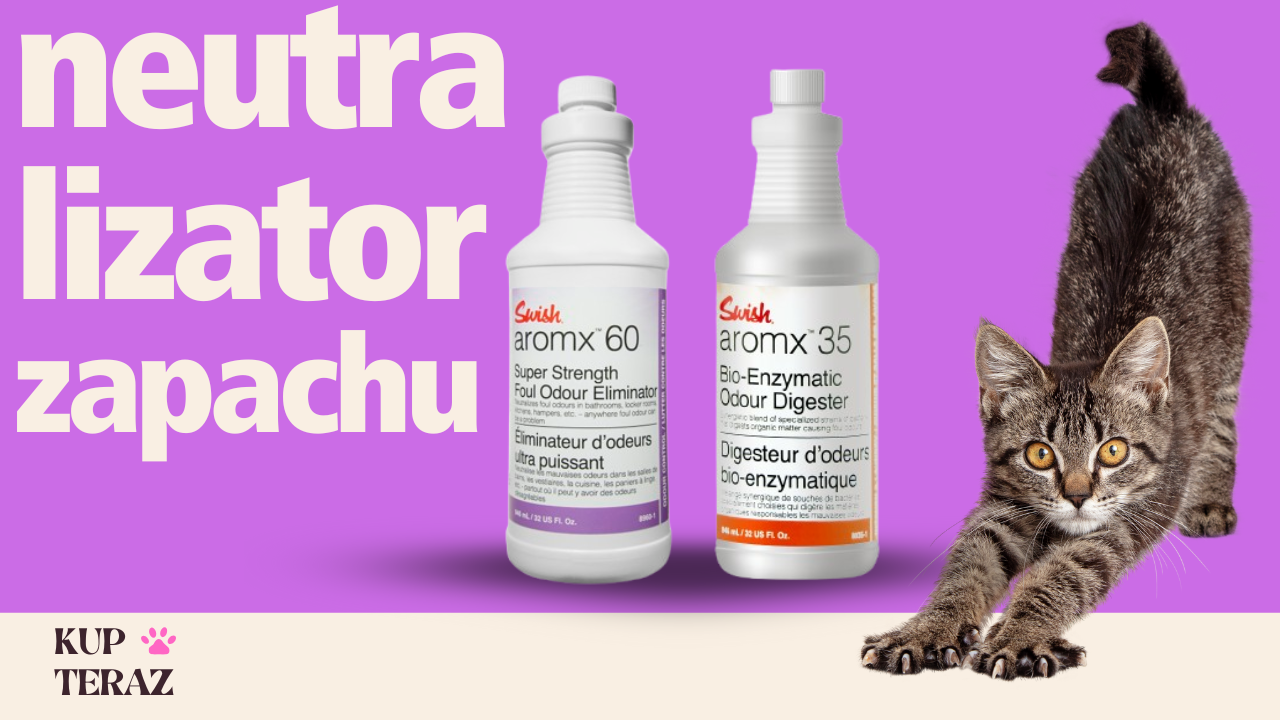 Neutralizatory zapachów również dla psów i kotów