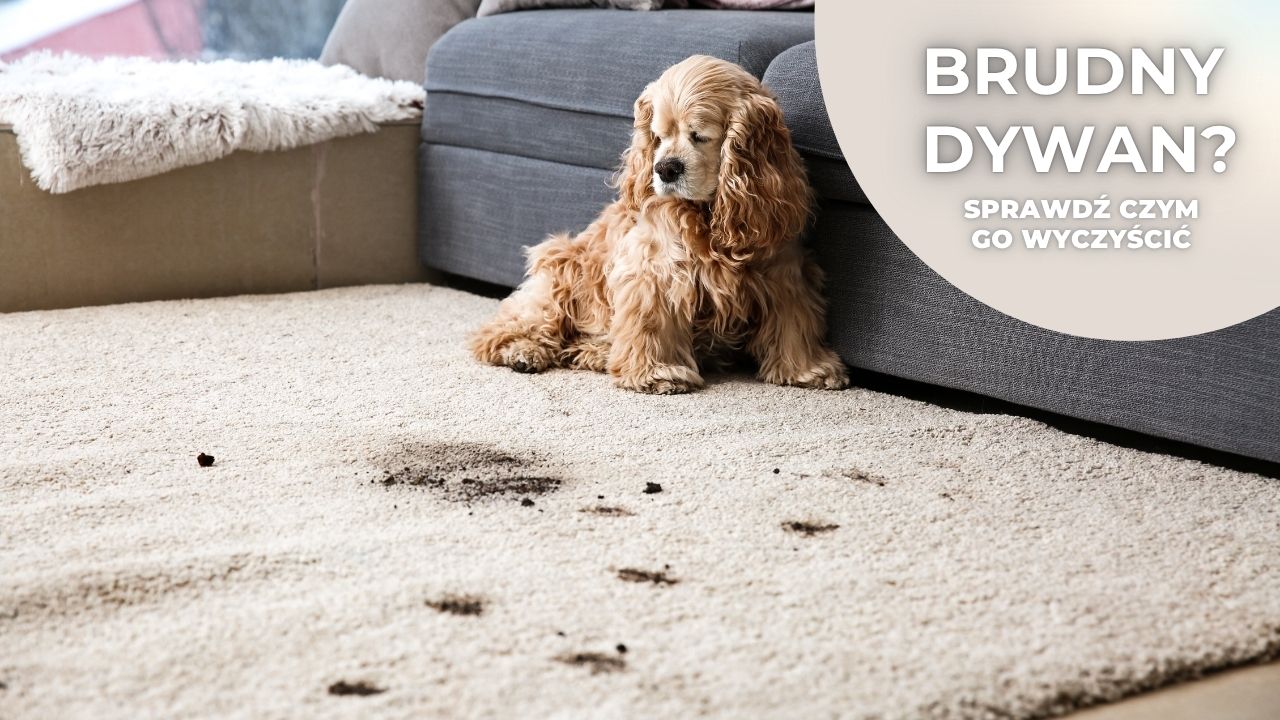 Profesjonalne środki do prania dywanów